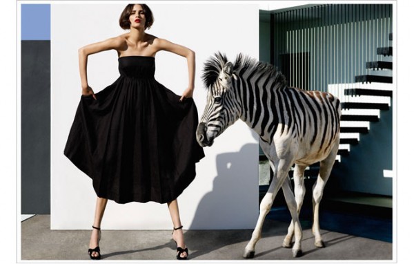 yu-tsai-photography3