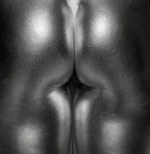 Nude Silvereye Series By Guido Argentini