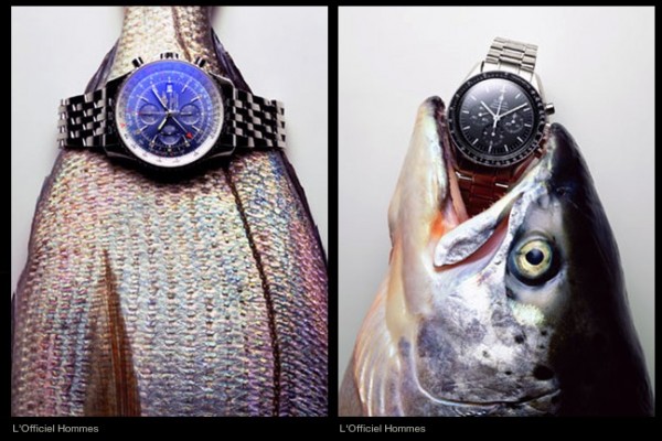 watches-still-life-photography-22