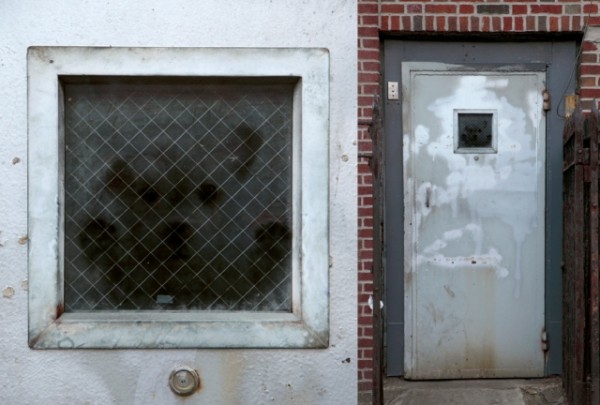 dan witz_bed stuy brooklyn