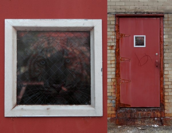 dan witz_bushwick brooklyn