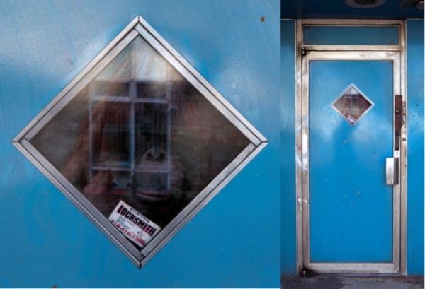dan witz_gowanus brooklyn