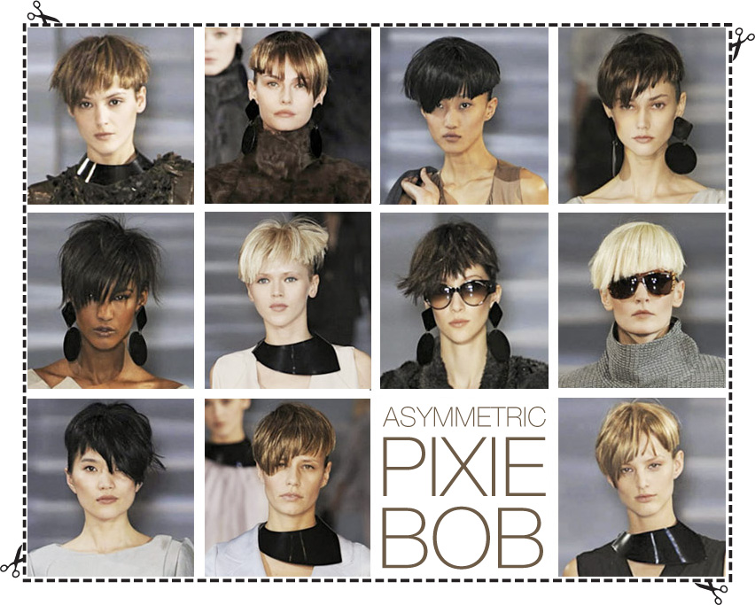 hair report  the asymmetric pixiebob