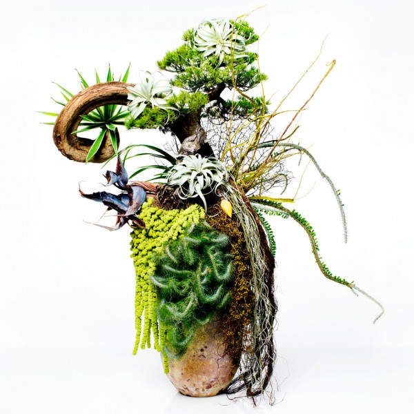 makato azuma botanical sculptures