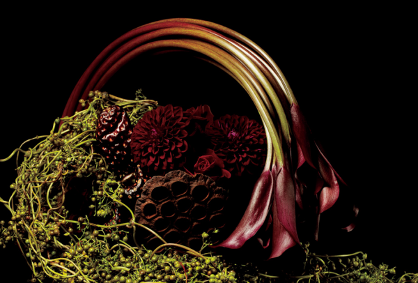 makato azuma botanical sculptures