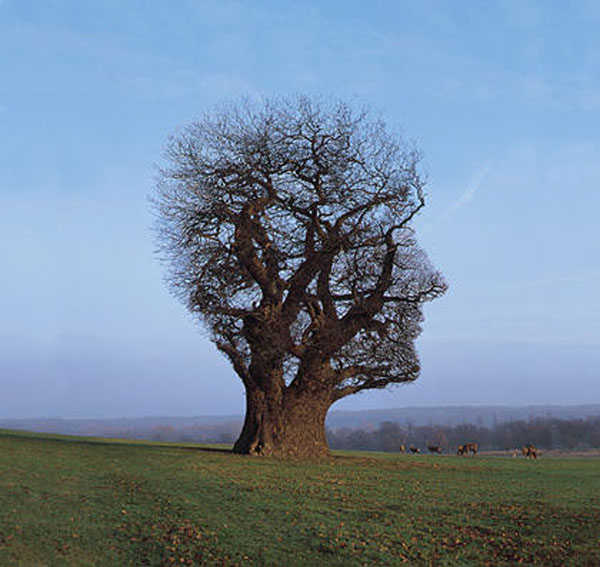 storm thorgerson the mars volta