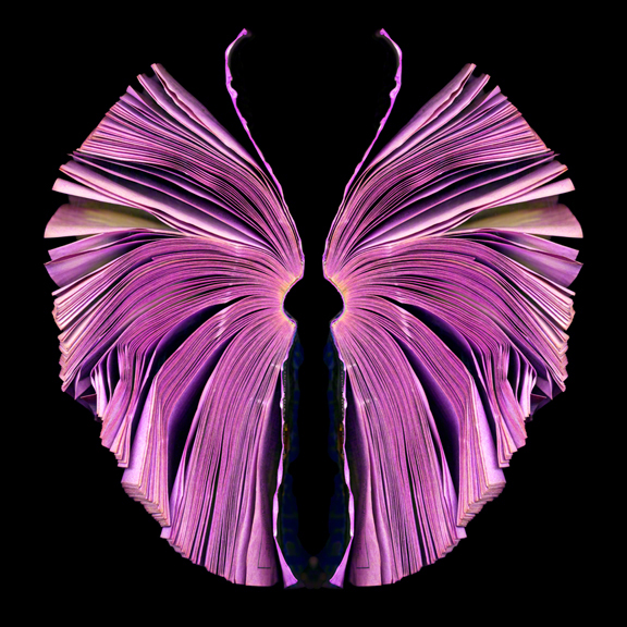 Cara Barerpink butterfly