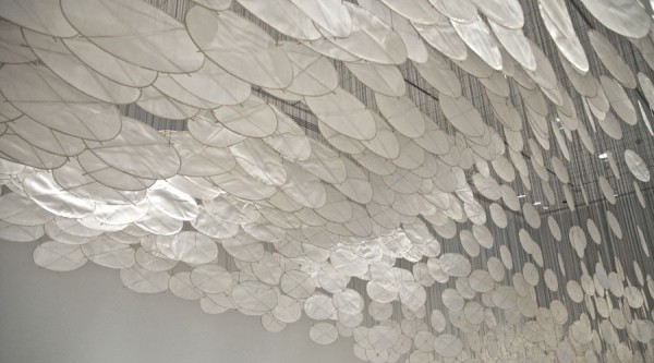 jacob hashimoto