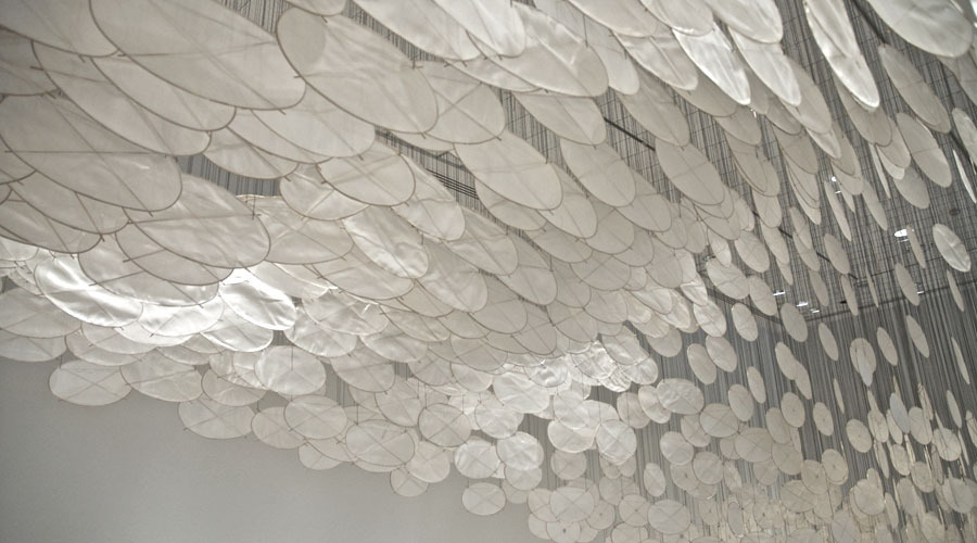 jacob hashimoto