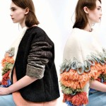 Stephanie Wong Extraordinary Pigeon