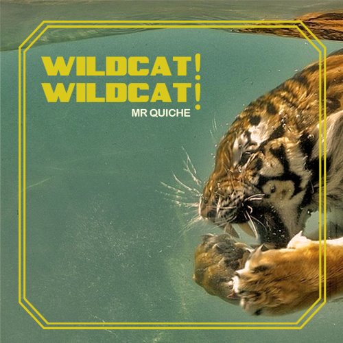 Wildcat Wildcat