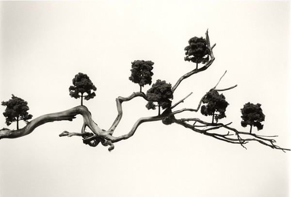 chema madoz