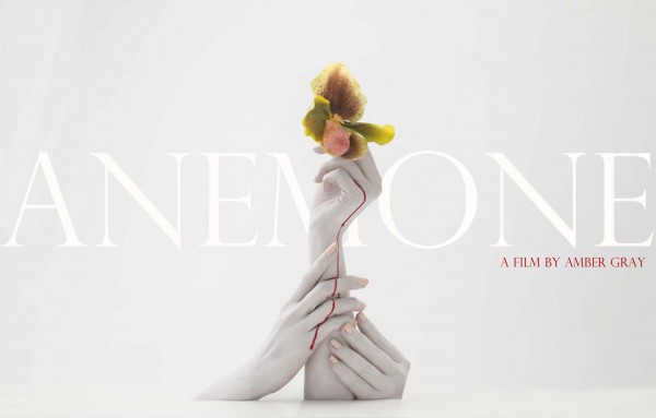 ANENOME for web