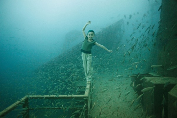 Andreas Franke