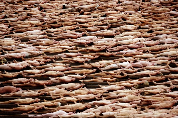 Spencer Tunick Naked People Sydney Mardi Gras Base