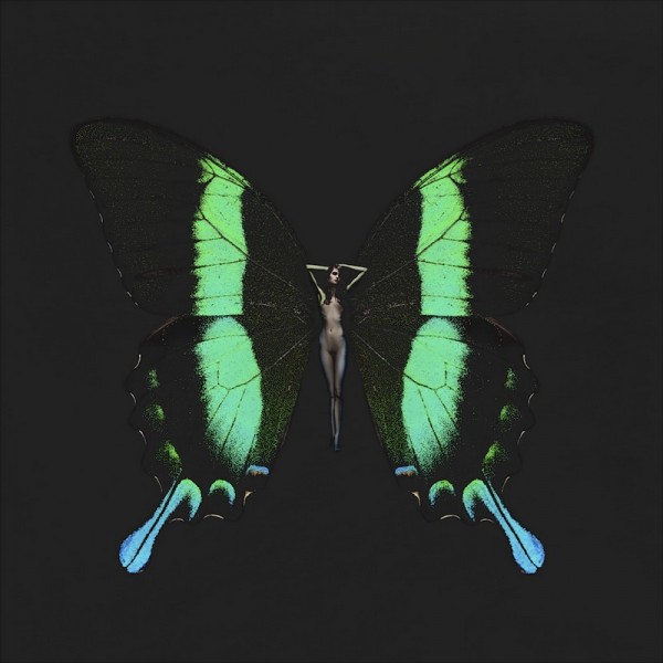 carsten witte psyche butterfly series