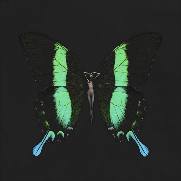 carsten witte psyche butterfly series