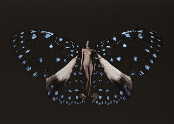 carsten witte psyche butterfly series