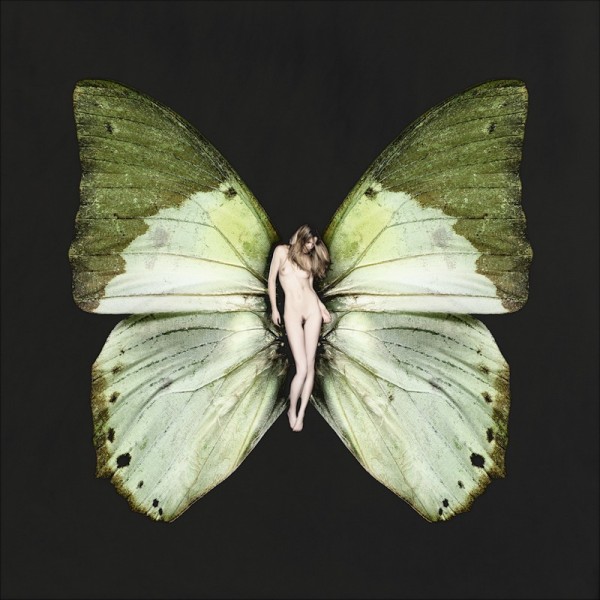 carsten witte psyche butterfly series