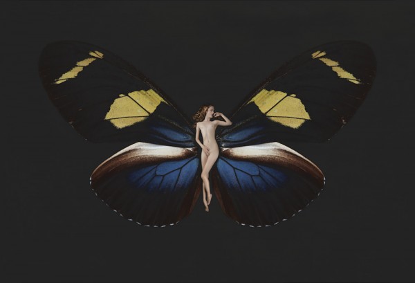 carsten witte psyche butterfly series