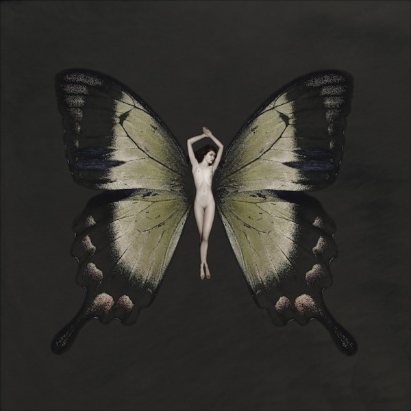 carsten witte psyche butterfly series