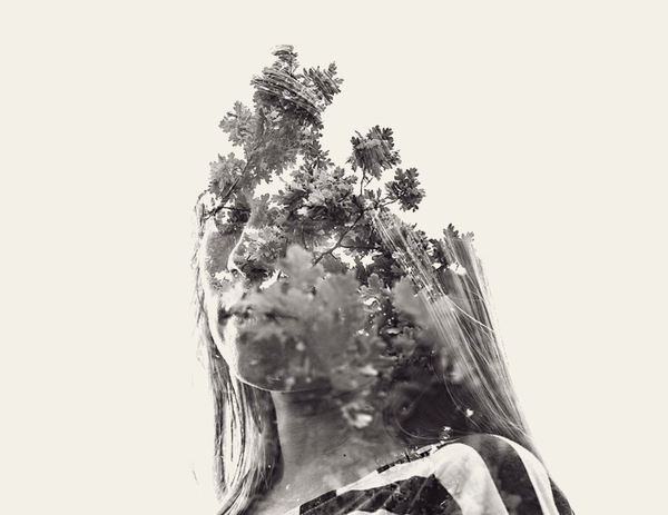 christoffer relander