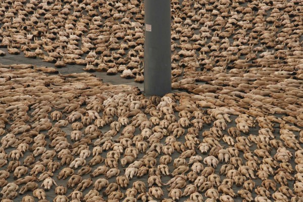 spencer tunick