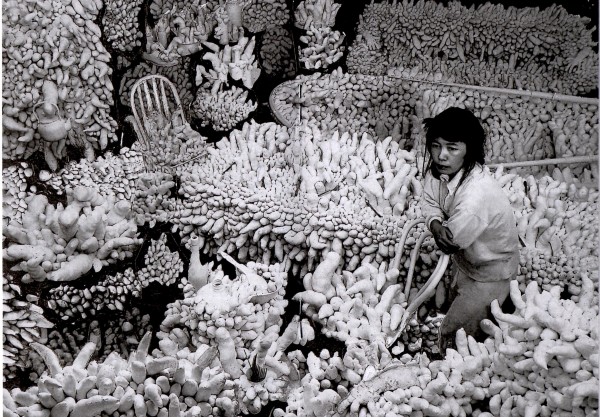 yayoikusama