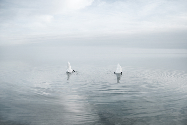 Akos_Major_waterscapes