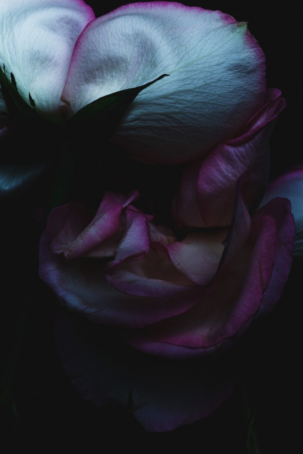 Billy Kidd photograhy