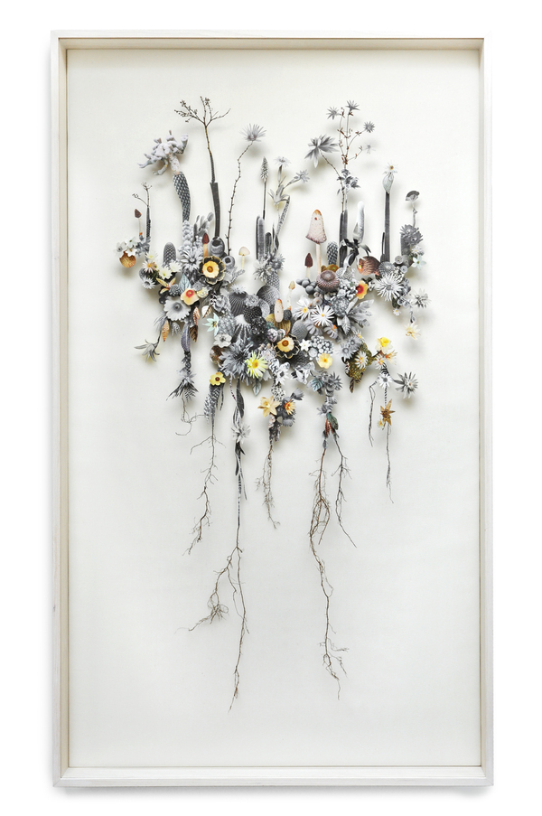 anne ten donkelaar flower constructions