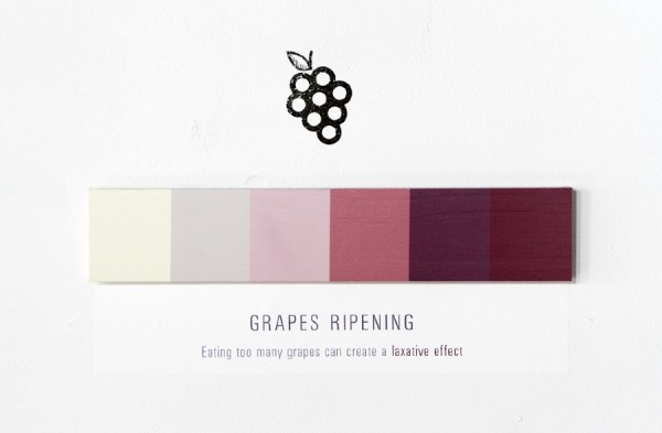 grapes_ _