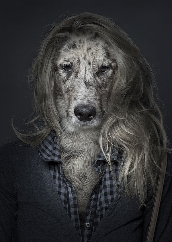 Sebastian Magnani UnderDogs f