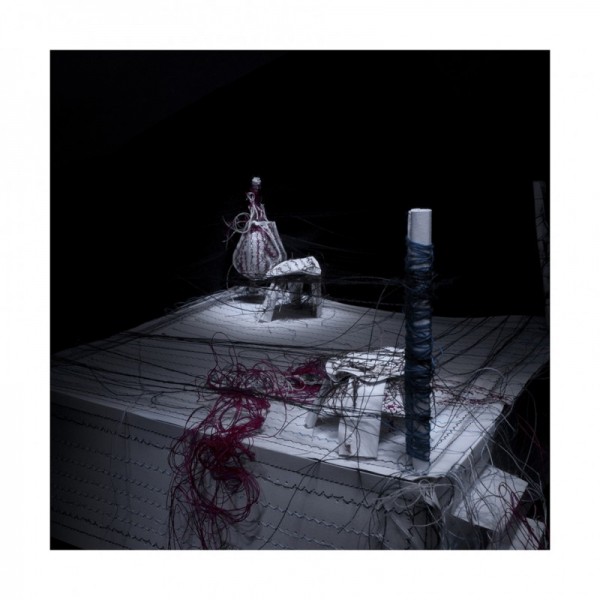 gerwyn_davies_theboxer gerwyn_davies_theboxer