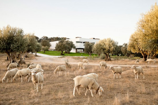 hotel villa extramuros portugal