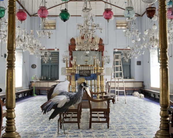 karen knorr india song series