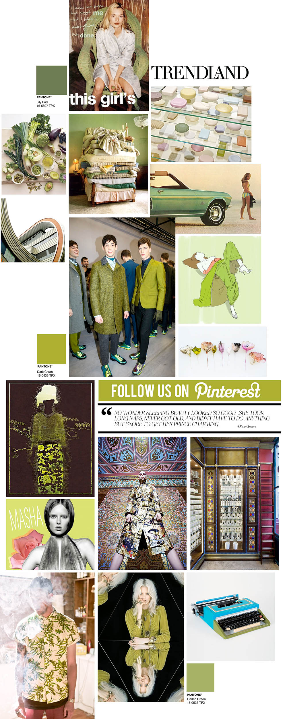 Trendland OLIVE Pinterest Collage