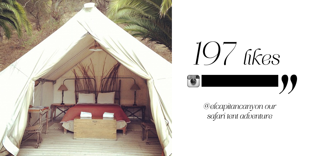 Trendland_tent_instagram Trendland_tent_instagram