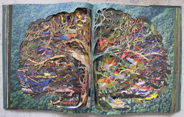 francesca lowe book cuts tree cuts