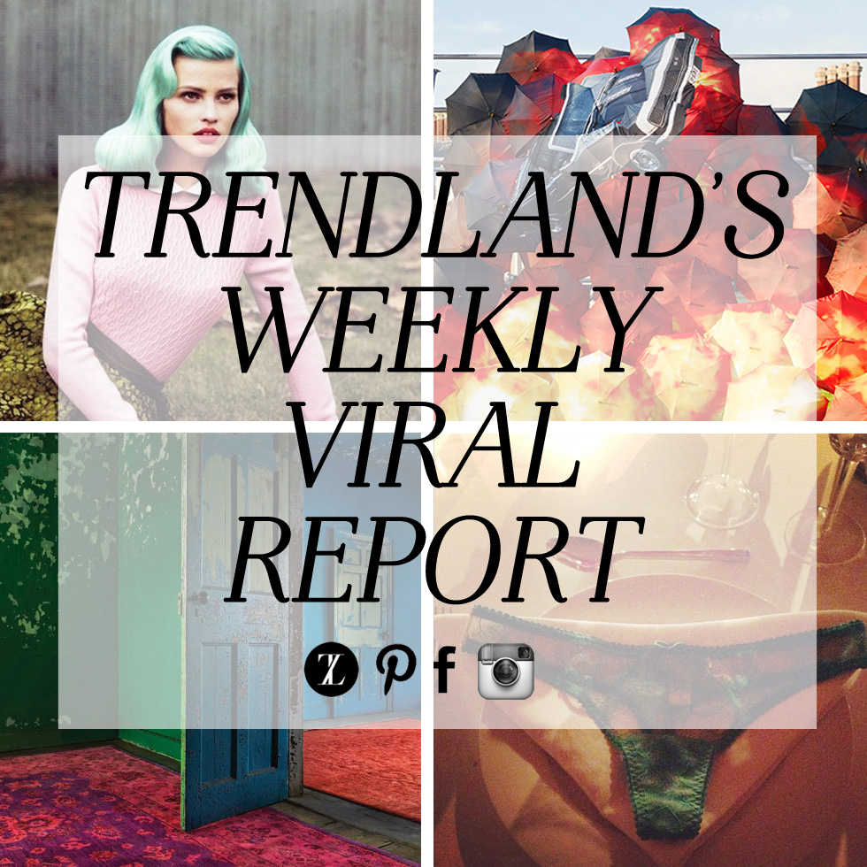 TRENDLANDS WEEKLY VIRAL REPORT_