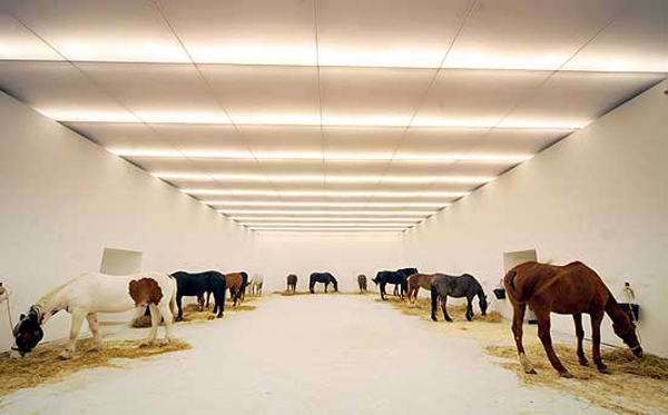 jannis kounellis