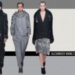 ALEXANDERWANGFW