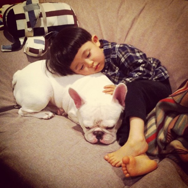 Aya Sakai japanese boy and his bulldog