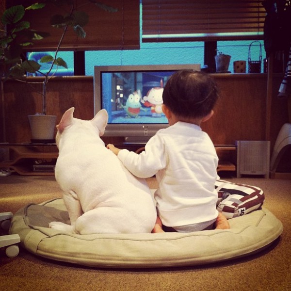 Aya Sakai japanese boy and his bulldog