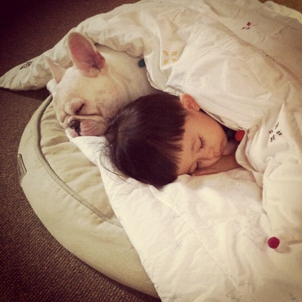 Aya Sakai japanese boy and his bulldog