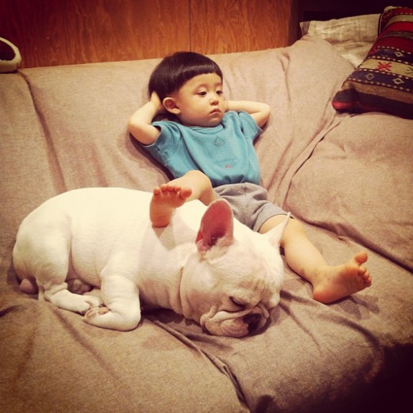 Aya Sakai japanese boy and his bulldog