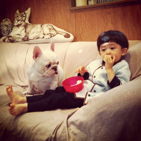 Aya Sakai japanese boy and his bulldog