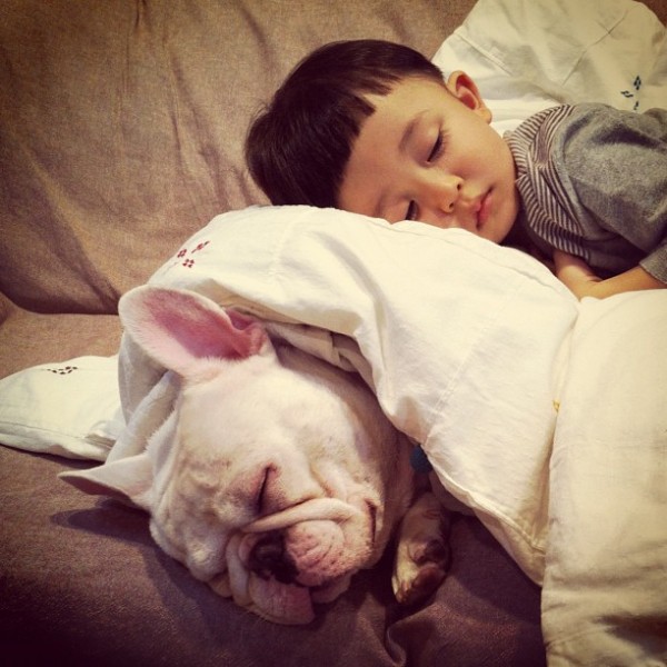 Aya Sakai japanese boy and his bulldog