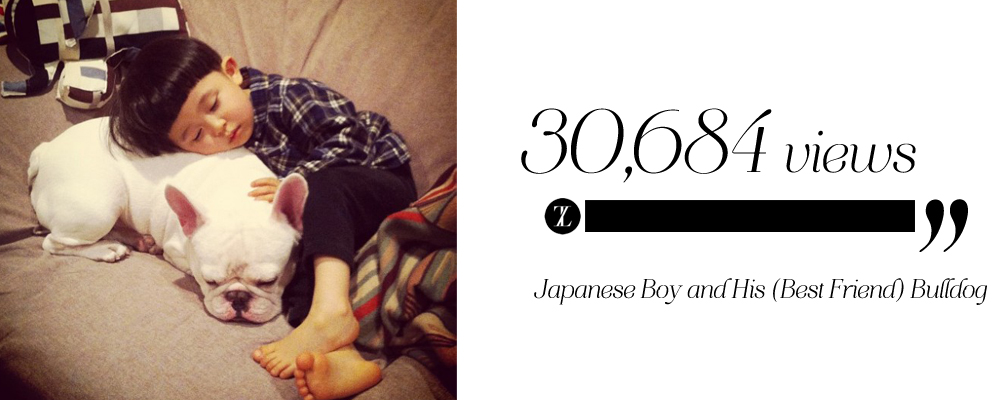 JapaneseBoyandHisBestFriendBulldog JapaneseBoyandHisBestFriendBulldog