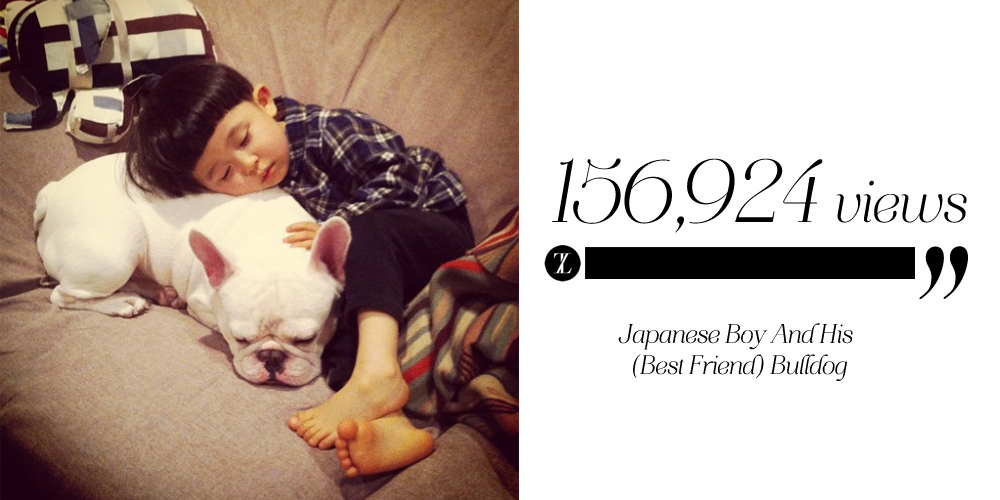 japaneseboyandhisbestfriendbulldog